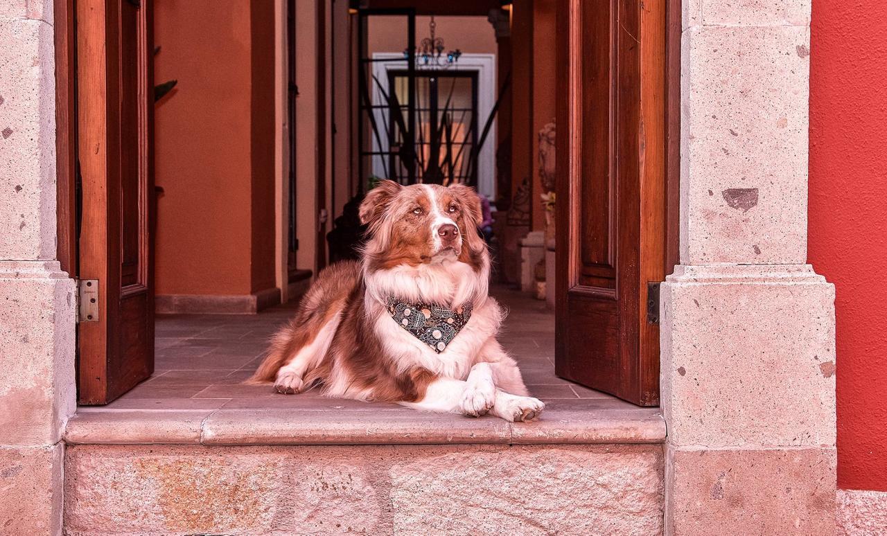 Artesana Luxury Villa Σαν Μιγκέλ ντε Αγιέντε Εξωτερικό φωτογραφία